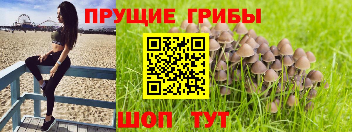 Можайск  Галлюциногенные грибы мухоморы  Псилоцибиновые грибы GOLDEN TEACHER  Вход с VPN 